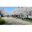 公園