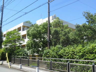 横浜市立桂小学校