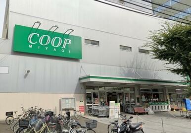 ＣＯＯＰ　ＭＩＹＡＧＩ柏木店