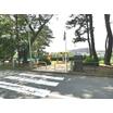 公園