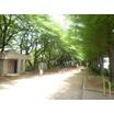 公園