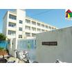 幼稚園、保育園