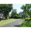 公園