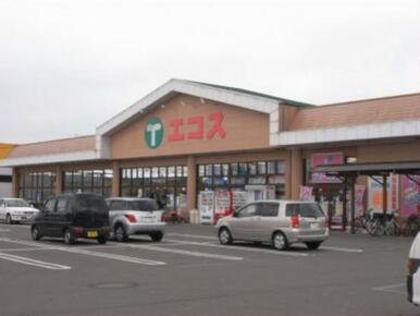 エコスTAIRAYA上三川店　1201ｍ/徒歩16分、車4分