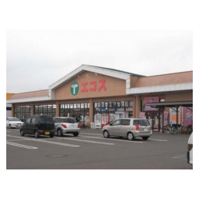 エコスTAIRAYA上三川店　1201ｍ/徒歩16分、車4分