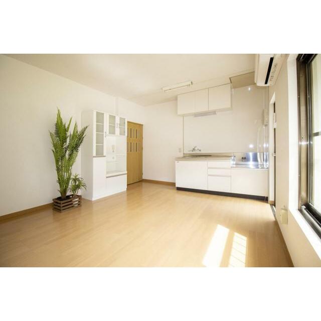 南向きのLDKです。