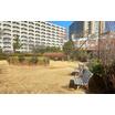 公園