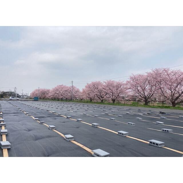 10-20区画
