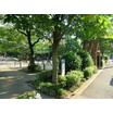 公園