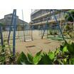 幼稚園、保育園