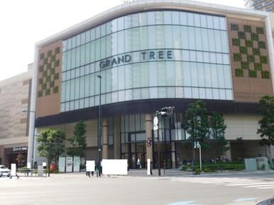 ＧＲＡＮＤ　ＴＲＥＥ　ＭＵＳＡＳＨＩＫＯＳＵＧＩ（グランツリー武蔵小杉）