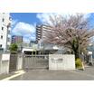 幼稚園、保育園