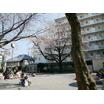 公園