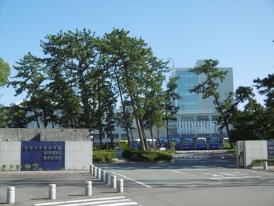 私立東海大学海洋学部