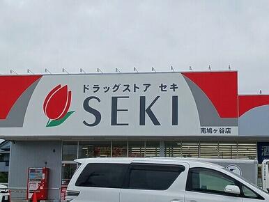 ドラッグストアセキ南鳩ヶ谷店