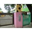 幼稚園、保育園