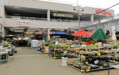 ビバホーム横浜青葉店