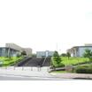 大学