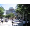 大学