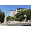 大学