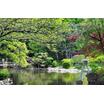 公園
