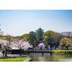 公園