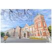 大学