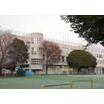 小学校