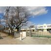 幼稚園、保育園