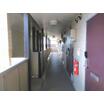 共有部分