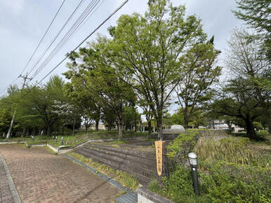 ふれあいの森公園