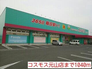 コスモス元山店