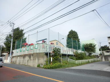 千葉県立中央博物館