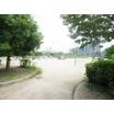 公園