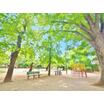 公園