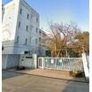 小学校