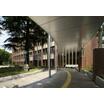 大学