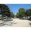 公園