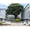 中学校