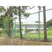 幼稚園、保育園