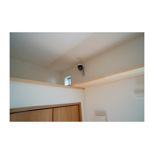 猫がいつでも外を見れます