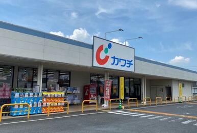 カワチ薬品間々田店