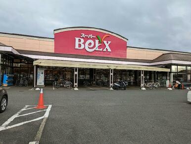 ベルクス岩槻城北店