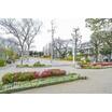 公園
