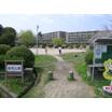 公園