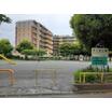 公園