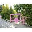 幼稚園、保育園