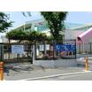 幼稚園、保育園