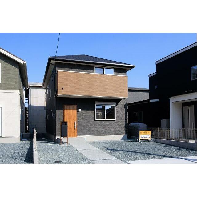 1号地　2026年3月10日撮影