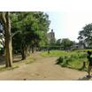 公園